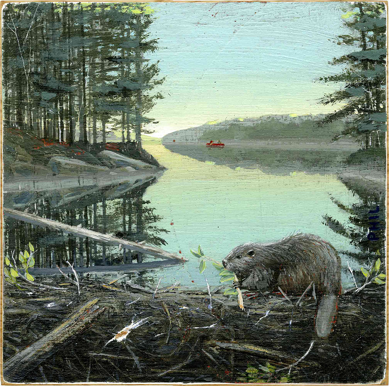 beaver