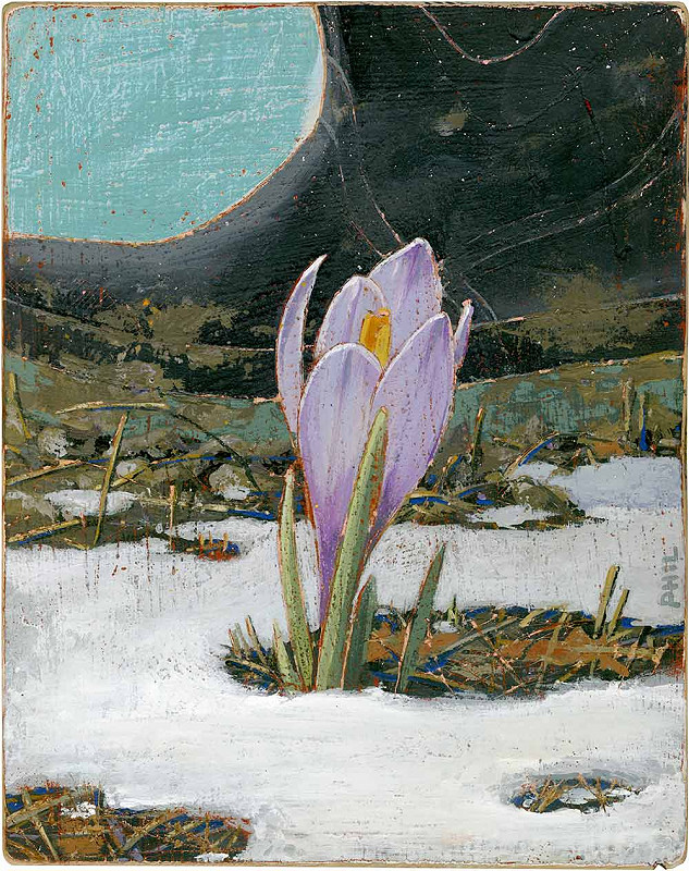 spring crocus