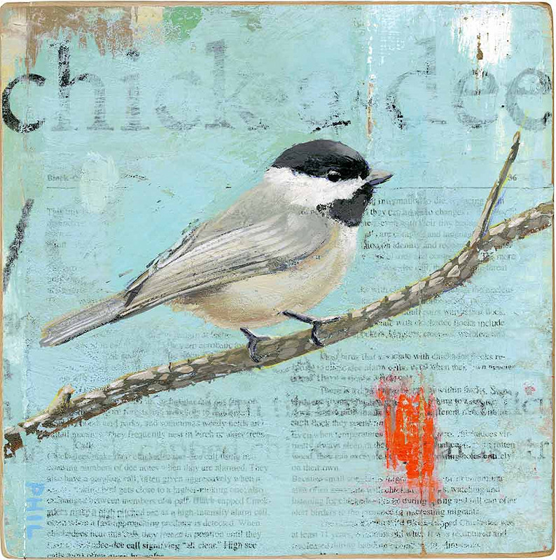 chickadee