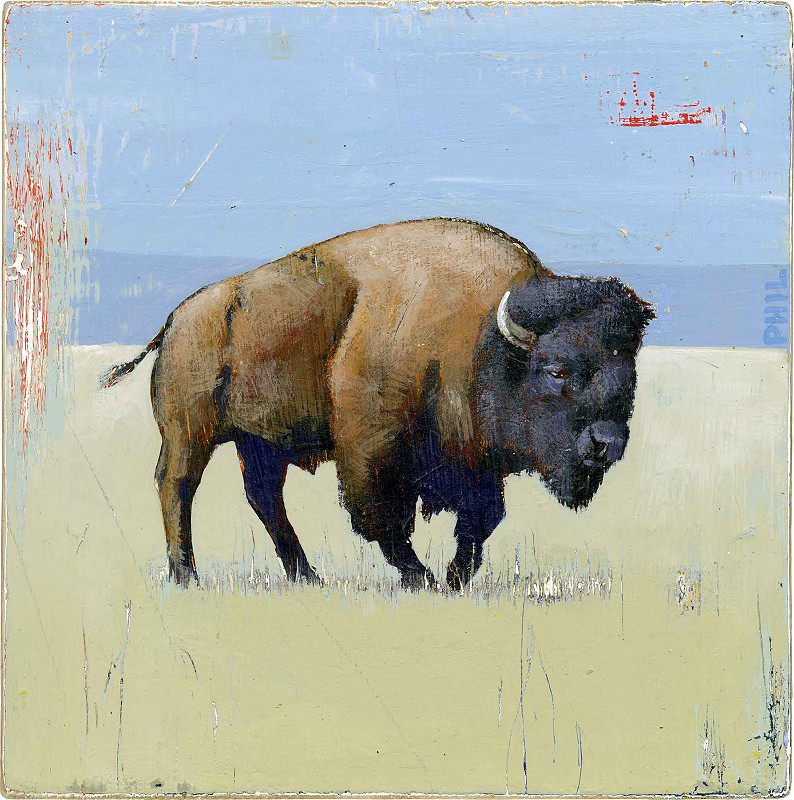plains bison